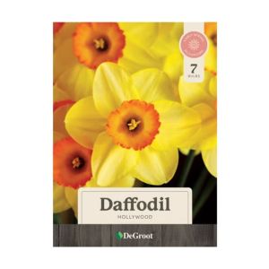 deGroot Daffodil Salome  1Ea