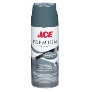 Ace Intl Premium Gloss Enamel Spray Paint 12 Oz Machinery Gray 1 Each 17021
