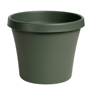 Ace Traditional Planter Terrapot 8 In Thyme Green 1 Each 7237969