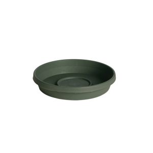 Bloem Terratray 2.7 In. X 17 In Resin Traditional Tray Thyme Green 1 Each7238884