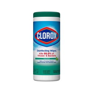 Clorox Disinfecting Wipes Fresh Scent 9 Oz 1 Each 1139237