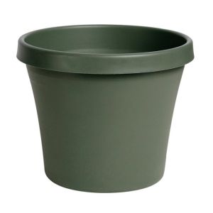 Ace Traditional Planter Terrapot 12 In Thyme Green 1 Each 7237985