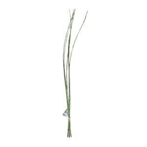 Decorative Artificial Bamboo Stems – Green (Bundle)