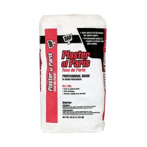 Plaster of Paris 25lb 12811