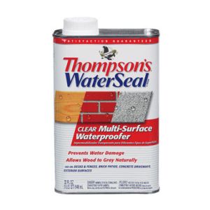 Thompson's WaterSeal Multi Surface Waterproofer 12oz 1 Each 12061