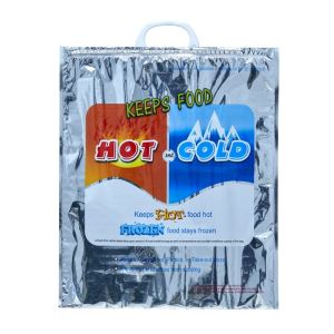 Hot and Cold Thermal bag 1 Each 42-89010