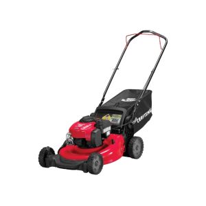 Craftsman Gas-Powered Push Lawn Mower 21