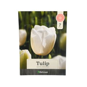 Tulip “White Emperor” Flower Bulbs – 7-Pack