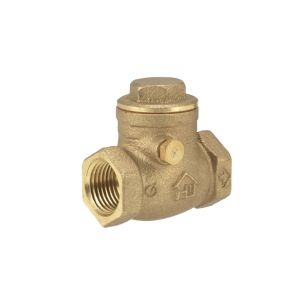 Ace Swing Check Valve 1/2 Inch 1 Each 4335931