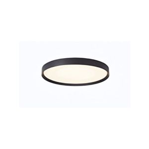 Lafayette Ceiling Light Led 60W 4000K Metal Acrylic 1 Ea IL-DEC-1037BK