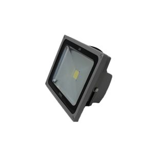 Vision Mrv Flood Light 20w 1 Each DK-LED/OL-20W