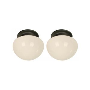 Lumicentro Celing Lamp 1L E27 60W Matt Black 1 Ea 22446-2