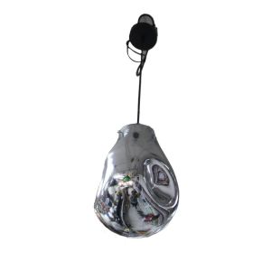 Pendant Light Chrome 1 Each OGS-GPL228