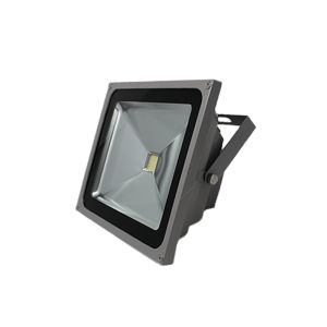 Dicken Flood Light 50W 1 Each DK OL0001