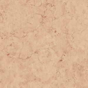 Porcelain Floor Tile 24
