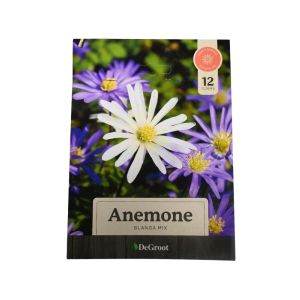 DeGroot Anemone Blanda Mix –12 Flower Corms