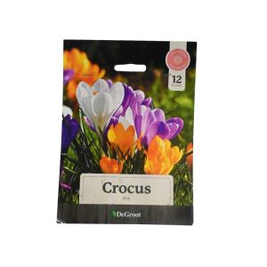Crocus Mix Flower Bulbs – 12-Pack