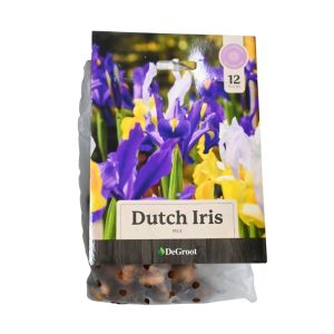 Dutch Iris Mix Flower Bulbs – 12-Pack
