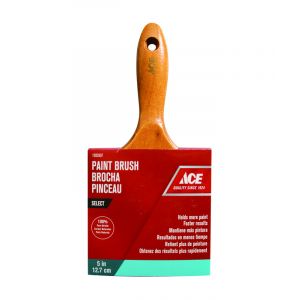 Ace Paint Brush 5 In 1 Each 1503507
