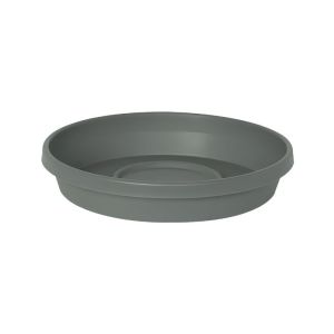 Terratray Saucer 8