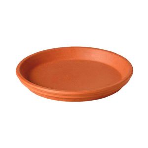 Ace Traditional Plant Saucer 11.5 In Terracotta 1 Each 7201858
