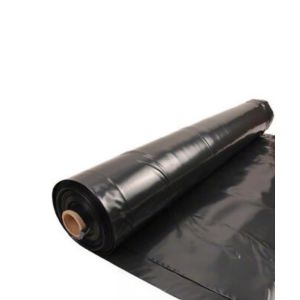 Ace Film Poly 4Mil 20x100