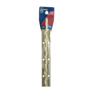 ACE Continuous Hinge Bright Brass 1-1/16