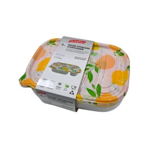  Food Storage Container with Lid – 6