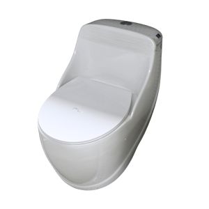 One-Piece S- Trap Elongated Toilet with Integrated Tank – White
