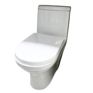 Complete Elongated Toilet 31