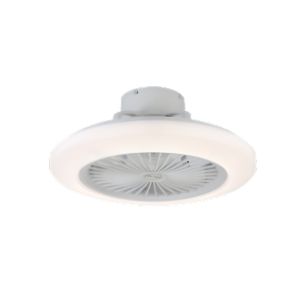 Ceiling Fan with Light  20-Inch