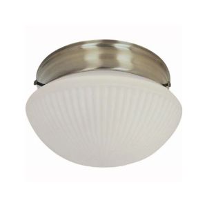 Ceiling Light w/  Frosted Glass Shade-Brushed Nickel