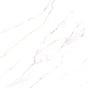 LORENZZA Glazed Ceramic Floor Tile 58x58-7 pc/bx