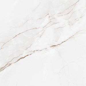  Porcelain Tile 60x60 (24