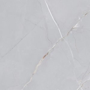 Topazio Gray Tile 56.2x56.2